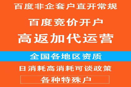 探索专业SEM托管的奥秘：从案例看效果